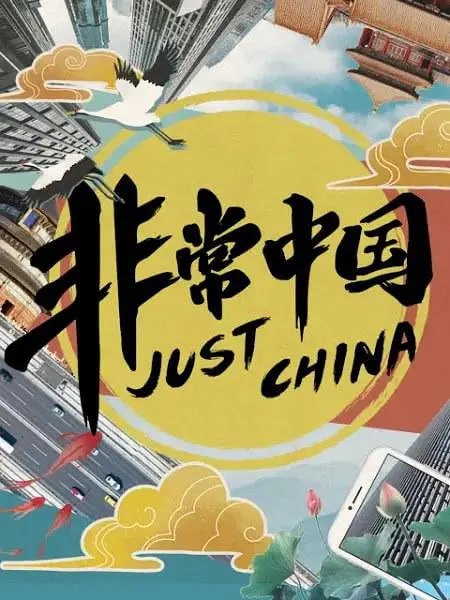 名称：非常中国 (2019)描述：纪录片《Just china/非常中国》聚焦全球视野下的中国主题，讲述不为世界所了解的中国故事，展现当下中国人的另一面，消除世界偏见